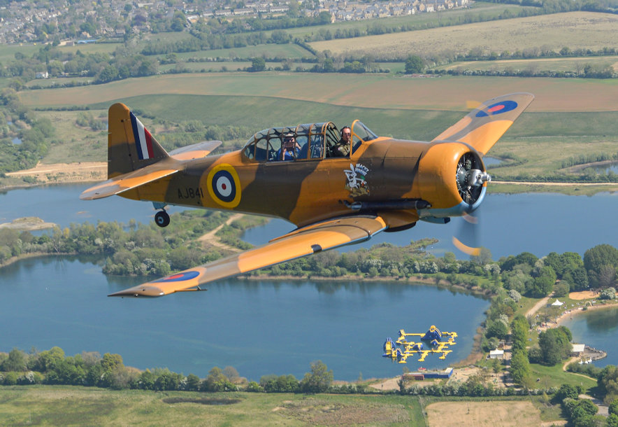 Harvard (Wacky Wabbit)